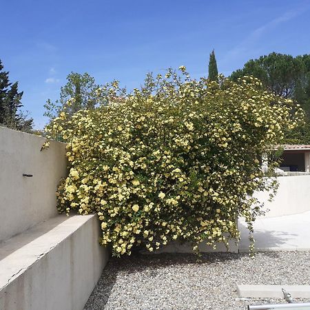 Chambres D'Hotes, B&B Climatisees La Borrellienne Saint-Maximin Εξωτερικό φωτογραφία