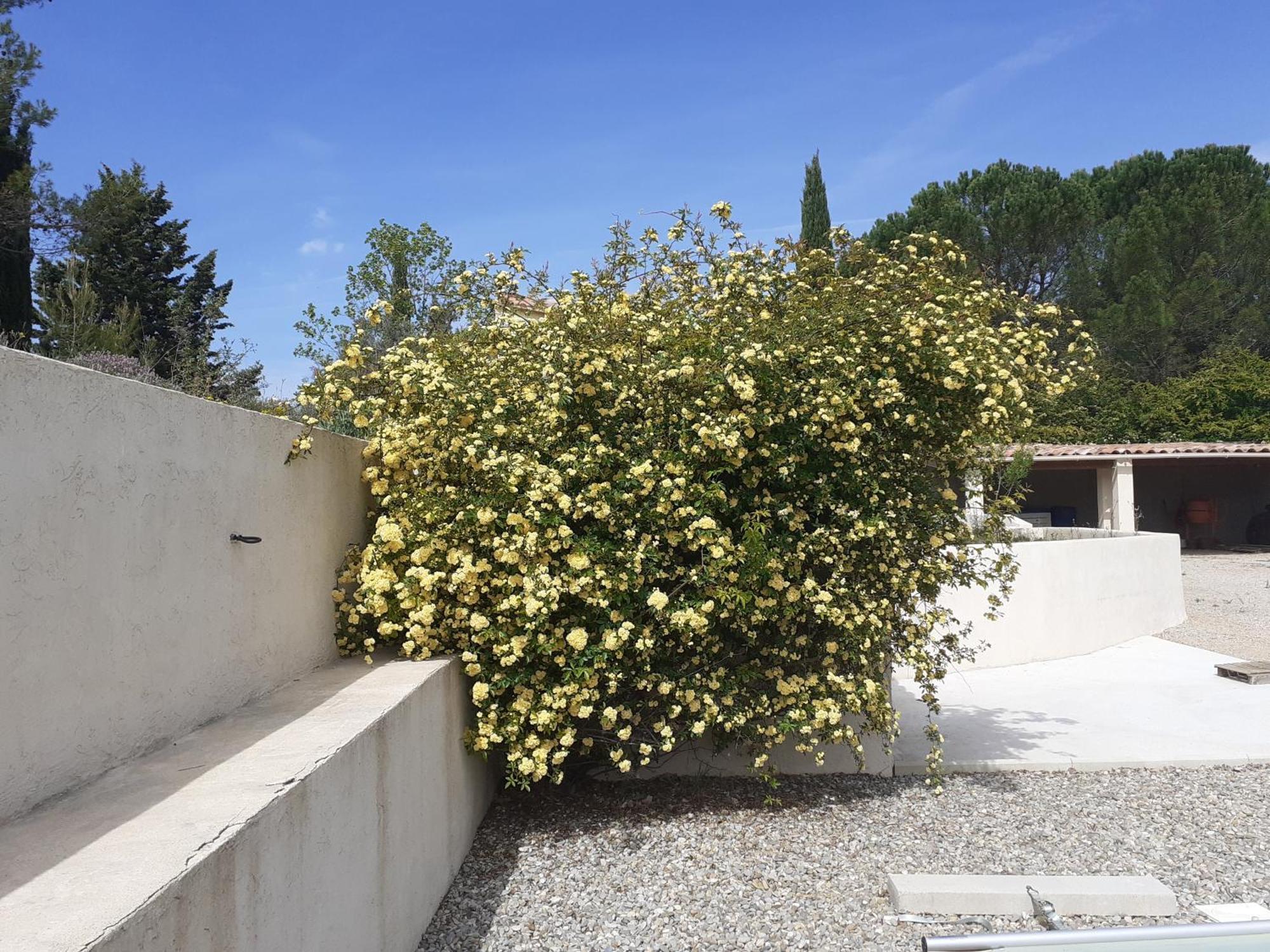 Chambres D'Hotes, B&B Climatisees La Borrellienne Saint-Maximin Εξωτερικό φωτογραφία