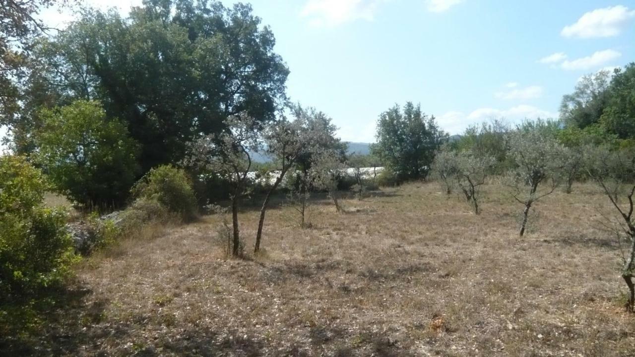 Chambres D'Hotes, B&B Climatisees La Borrellienne Saint-Maximin Εξωτερικό φωτογραφία